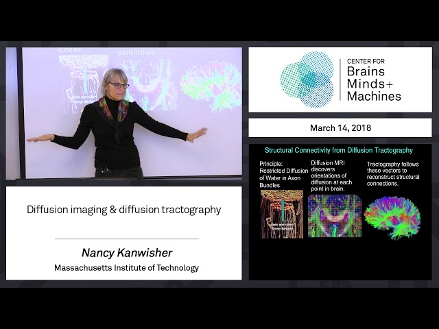 8.2 - Diffusion imaging & diffusion tractography