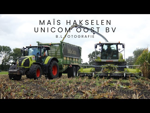 corn harvest with claas combi! | mais hakselen met claas combi! | 22-9-2023