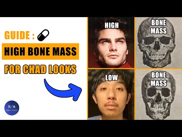 High Vs. Low Bone Mass For Chad Looks - (blackpill)