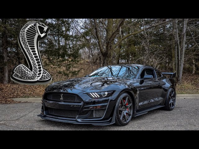 The Shelby GT500 Is The Coolest Mustang Ever Produced