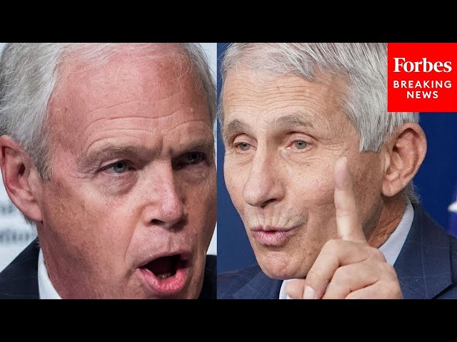 'What Is The Real Figure?': Ron Johnson Grills Witnesses, From Fauci To Mayorkas | 2021 Rewind
