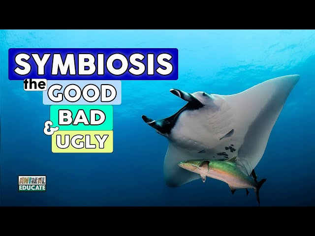 Symbiosis, the Good, the Bad and the Ugly
