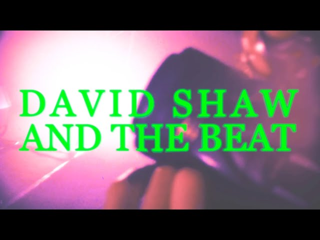 David Shaw and The Beat_Live 2020