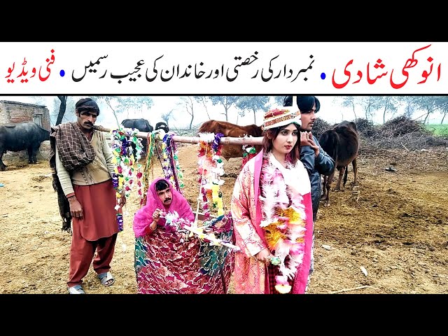 Number Daar Ki Anokhi Shadi Funny | New Top Funny |  Must Watch Top New Comedy Video 2021 | You Tv