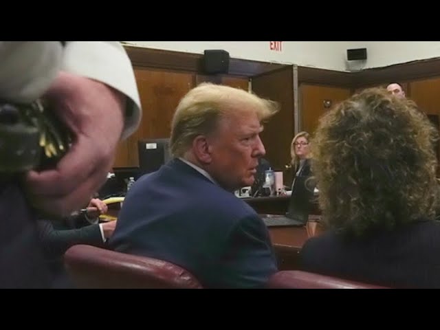 Trump's Hush Money Trial: Stormy Daniels