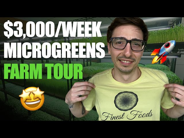 Microgreens FARM TOUR With Donny Greens (Full Walkthrough)