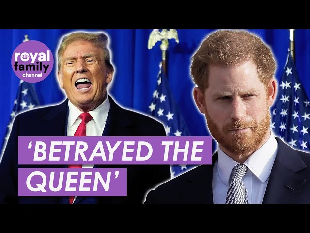 Donald Trump Warns Prince Harry Will Be 'On His Own'