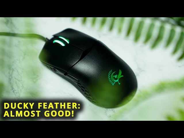 Ducky Feather: Almost a Great Mouse! #Shorts