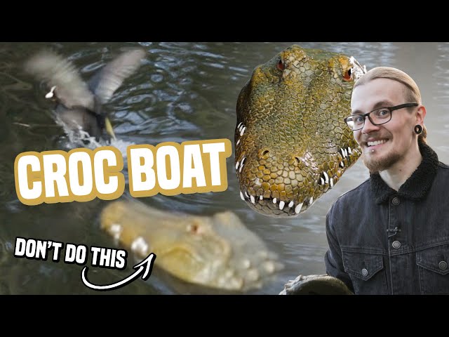 Crocodile RC Boat, Best Prank Product? | LOOTd Unboxing