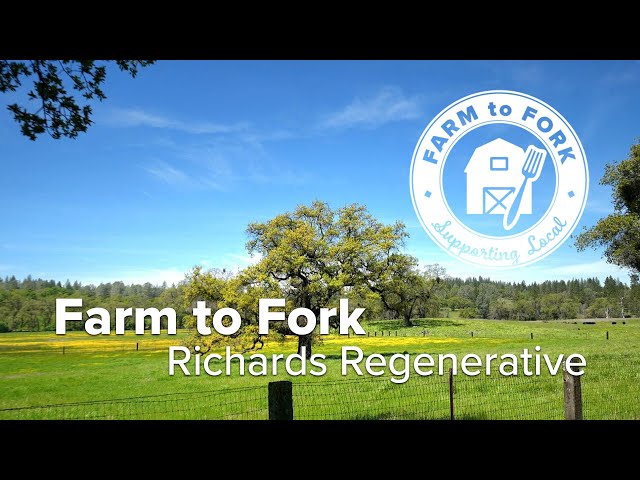 Farm to Fork: Sustainable Meats from Richards Regenerative