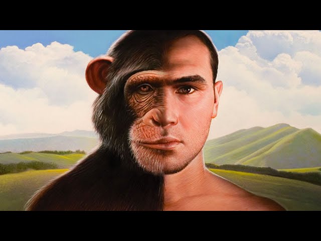 Is Evolution a Myth?
