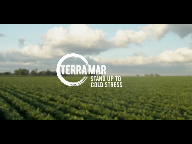 Help Your Corn, Soybean & Cotton Plants Stand Up to Stress