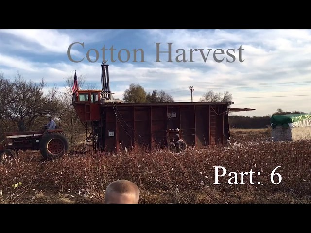 More harvest footage from Gus