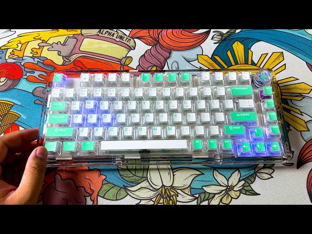 This Mech Keyboard SOUNDS Good BUT for a Price!