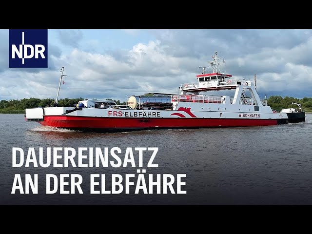 Elbfähre: Stress zwischen Schlick und Stau | Die Nordreportage | NDR Doku