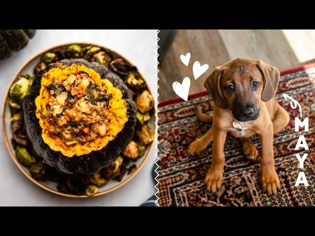 What I Ate Today + My New Puppy!