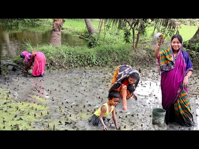 জমিতে কাদায় নেমে মাছ ধরে আজ রান্না করলাম লাউশাকের ঘন্ট আর কৈমাছ ভাপা || village fishing & cooking