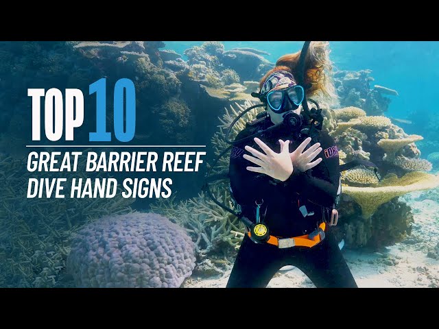 Scuba Diving Hand Signals - Great Barrier Reef Top 10