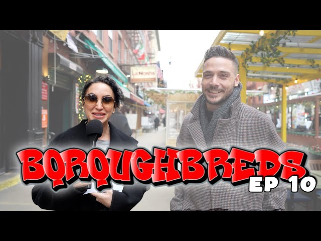 Italian Words and Phrases all over NYC - Boroughbreds ep 10 | Tara Cannistraci AKA Tara Jokes