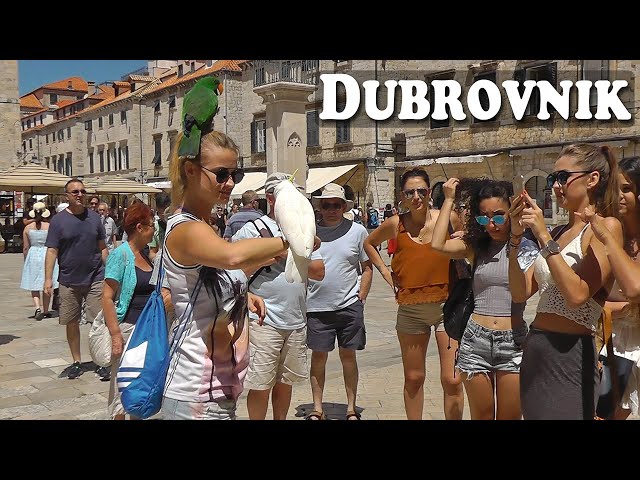 Croatia - Dubrovnik - Walking Tour