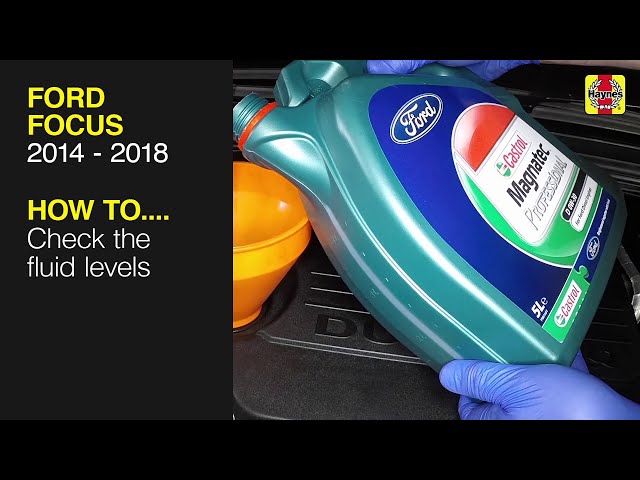 How to Check the fluid levels on the Ford Focus 2014 to 2018