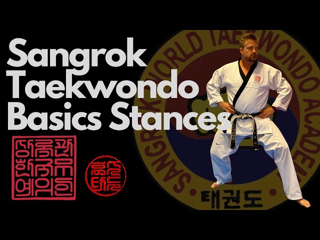 Taekwondo Basics Stances | FREE Martial Art lesson 🥋
