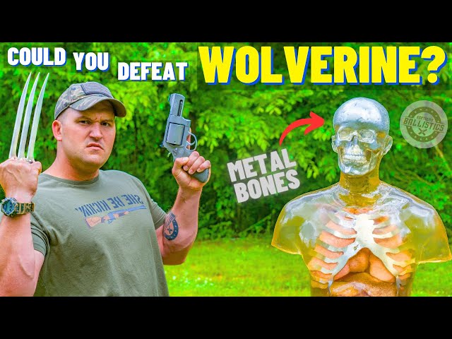 Could You Defeat WOLVERINE ???