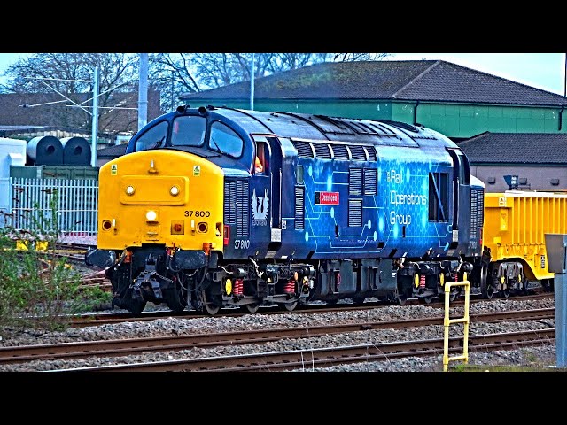 Trains at Derby Station - 21/03/24 (Incl: Class 37s, 47 & 69)