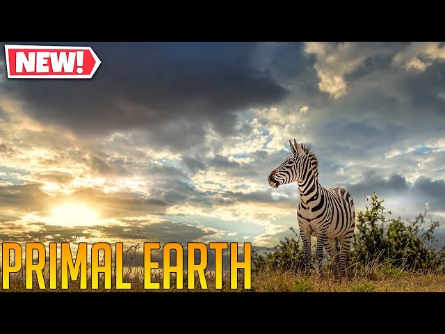 Upcoming Open World Animal Survival Game | Primal Earth