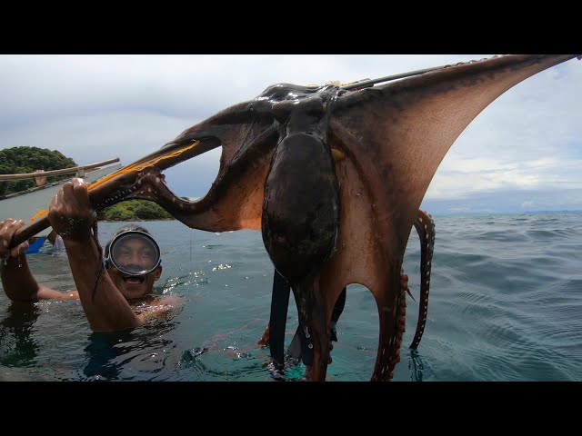 Hunting Octopus and Cuttlefish | Catch & Sell