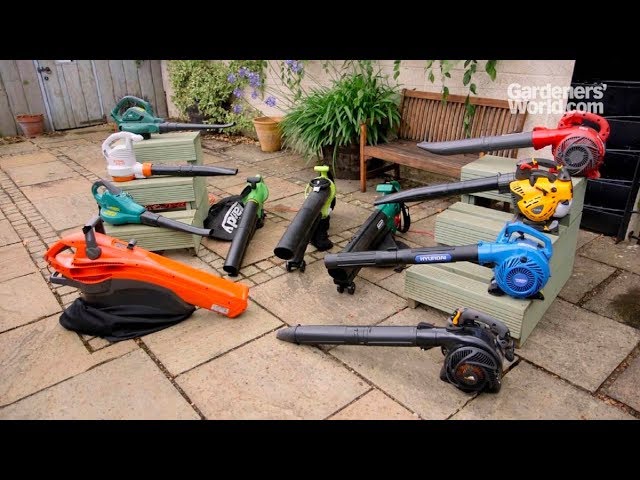 A buyer's guide to leaf blower/vacuums
