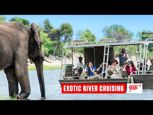 Exotic River Cruising
