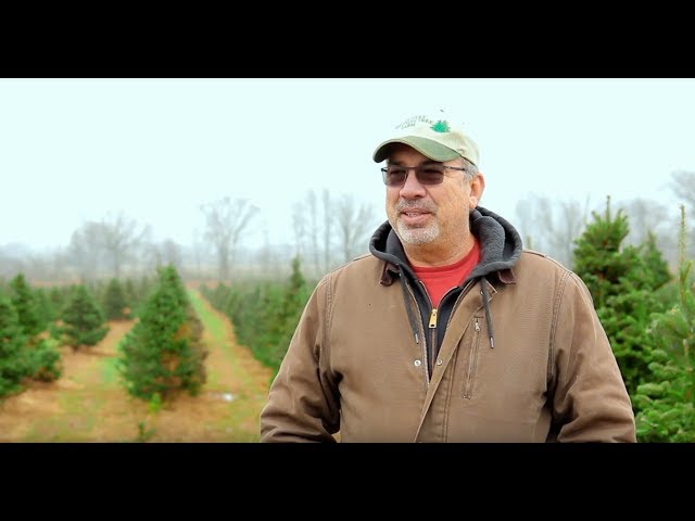 Life of a Christmas Tree Farmer - Levi Visits a U-Cut Farm | S1:E12 | MIgardener