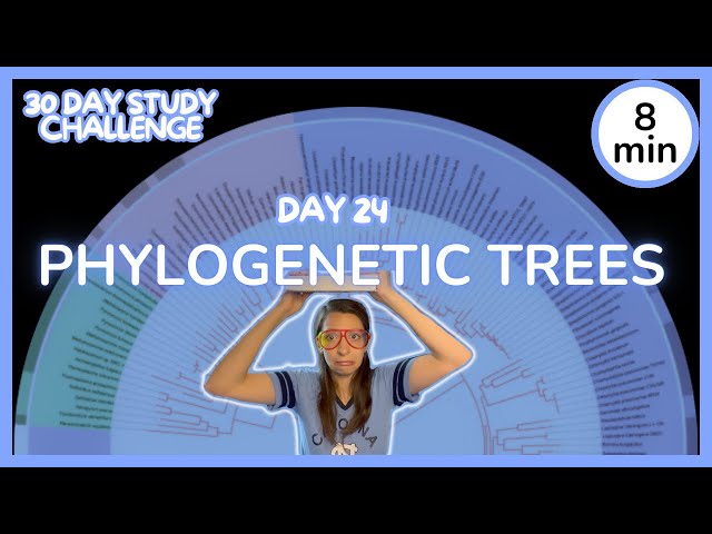 Day 24: Phylogenetic Trees - 30 Day Biology Study Challenge 2024