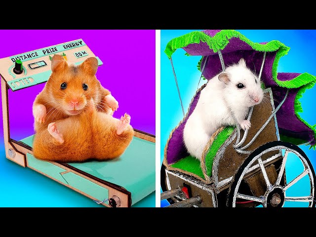 DIY Treadmill And Rickshaw For Your Hamster