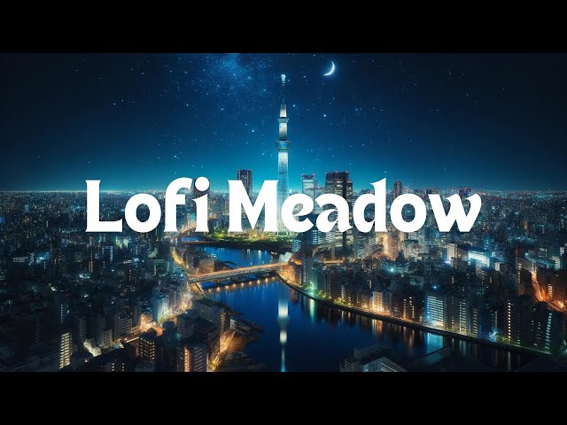lofi chill night/ Soothing Lofi Music for Peaceful Moments /to Study, Work, background music & Relax