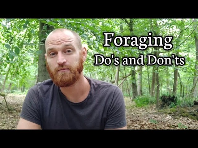 Foraging Do's and Don'ts- Etiquette and best practices of foraging