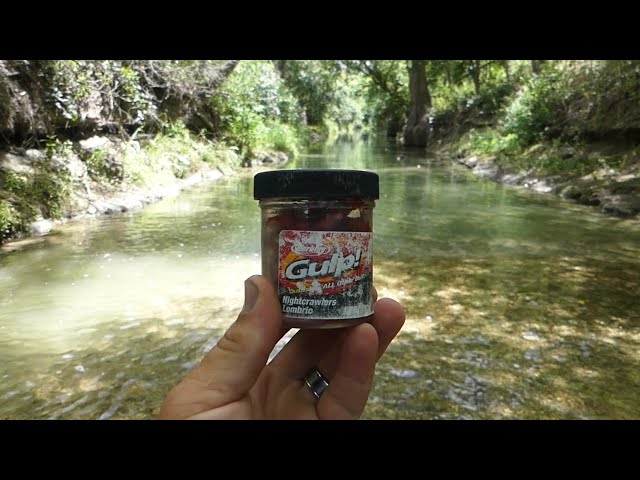 Better Than Real Worms? Creek Fishing with Gulp Worms! Cychlids, Catfish, Bluegill, Bass Live Here