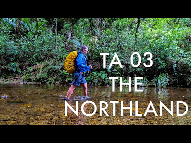 Te Araroa 03 - Things you will see and do hiking New Zealand’s Northland