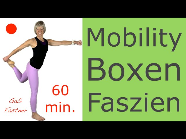 ❗️60 min. Mobility, Boxen & Faszientraining | Ganzkörperworkout und ca. 4300 Schritte, ohne Geräte