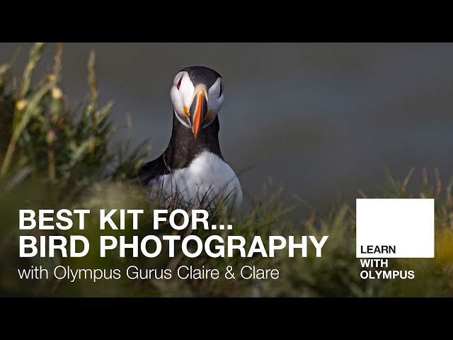 Best Kit for... Bird Photography - with Claire & Clare
