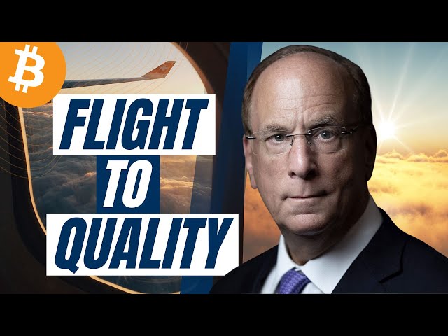 Bitcoin is a Flight to Quality