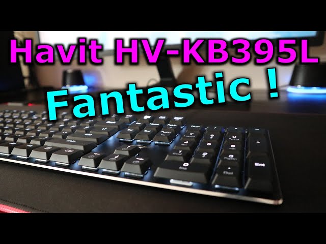 Havit HV KB395L mechanical RGB gaming keyboard review & gaming test