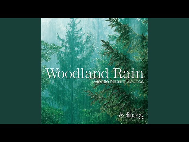 Woodland Rain