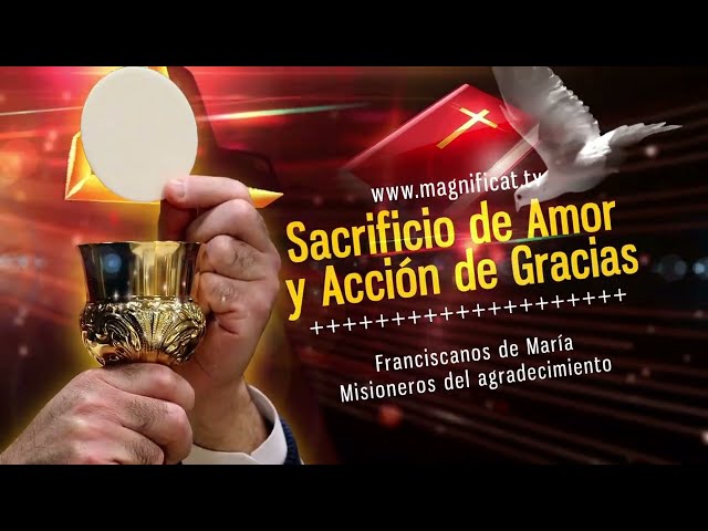 La Santa Misa de hoy |Sábado, VII semana de Pascua |18-05-2024| Pbro. Santiago Martín, FM