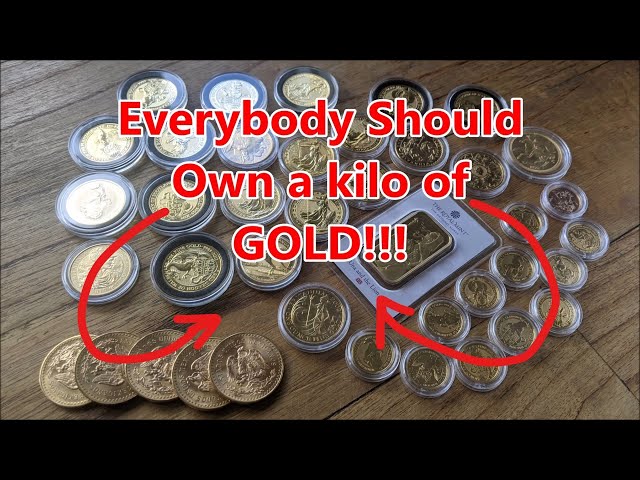 This is Why Everybody Should Own a KILO of GOLD!!!!
