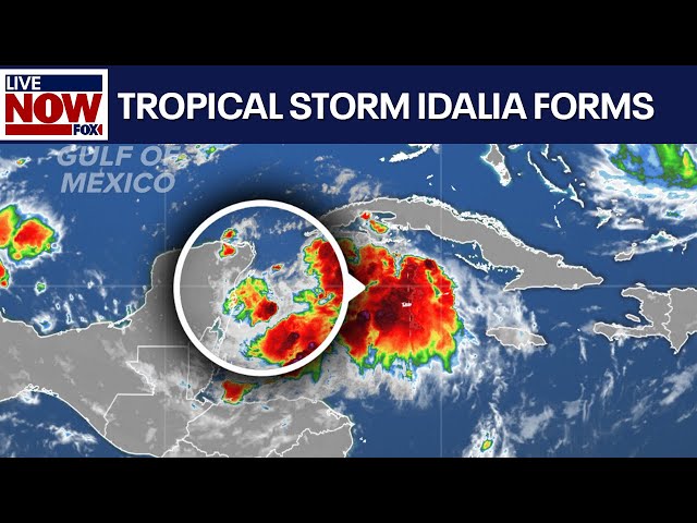 Tropical Storm Idalia forms, expected to hit Florida as hurricane | LiveNOW from FOX