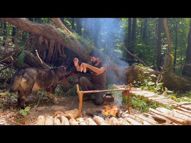 2 Days BUSHCRAFT Solo CAMPING, Building Survival SHELTER - Bull Testicles Cooking - Diy Crafts