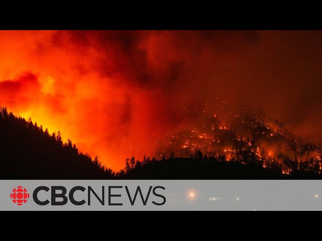 Some wildfire evacuees in West Kelowna, B.C. forced to sleep in cars