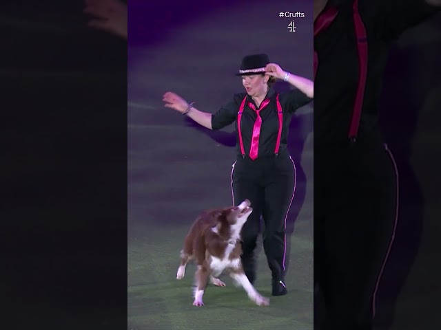 Dancing Into First Place | Crufts 2024